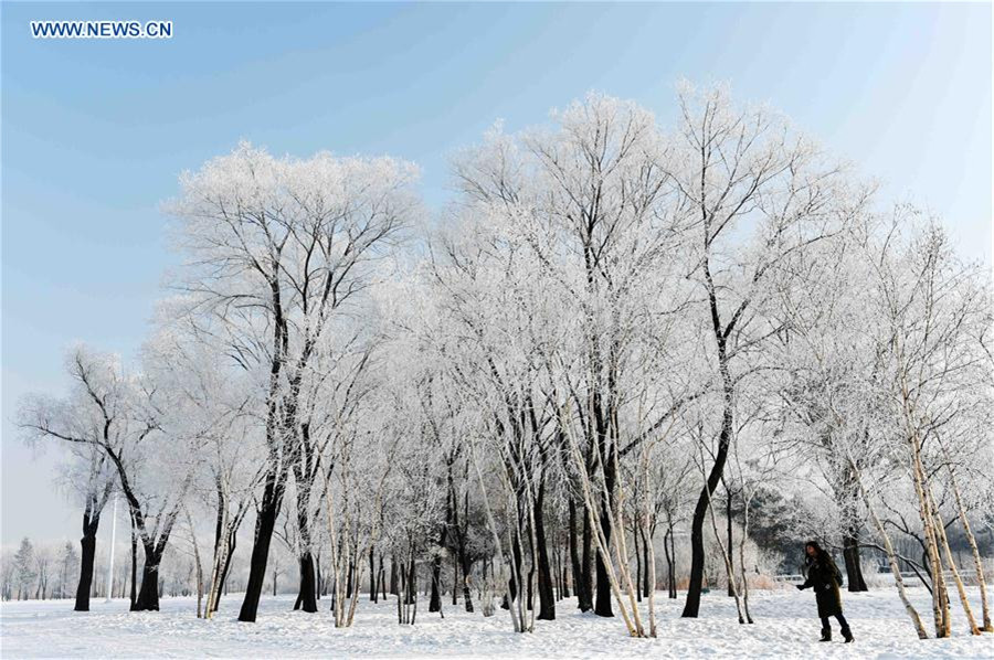 Paysages de givre dans le Nord de la Chine