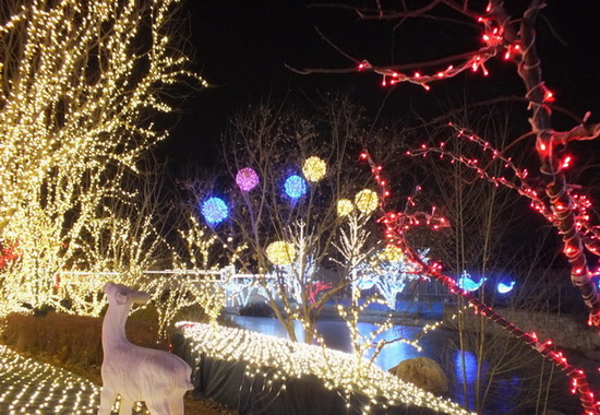 Nouvel An 2016 : Beijing et son habit de lumière 