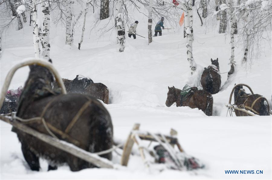 Chasse à ski dans le Xinjiang