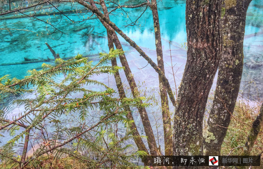 Paysage hivernal de Jiuzhaigou 