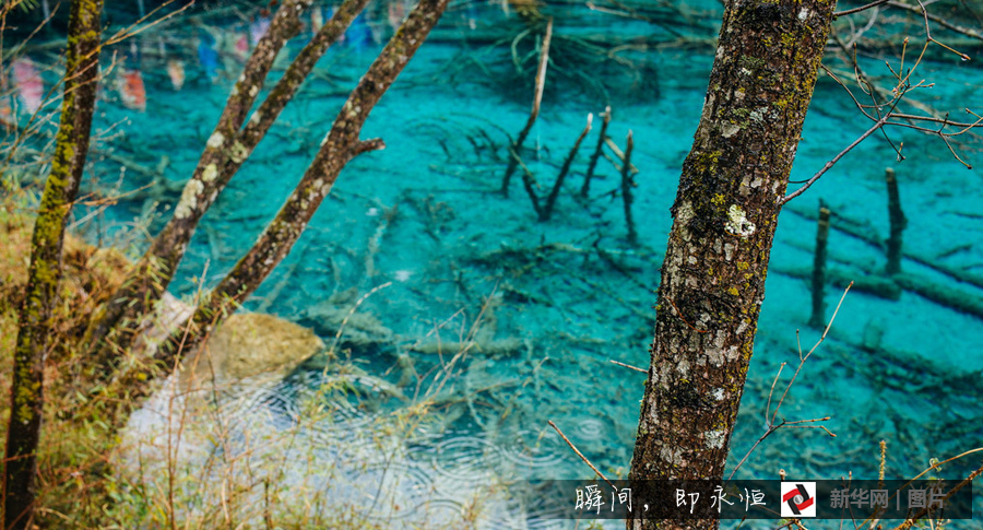 Paysage hivernal de Jiuzhaigou 