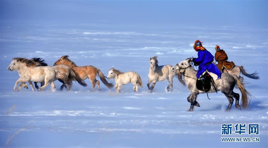 Chine : spectaculaires photos des gardiens de troupeaux mongols galopant dans la neige