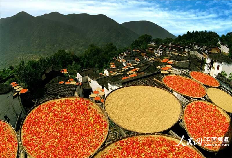 Le ? soleil d'automne ? de Huangling, un magnifique symbole de la culture agraire chinoise