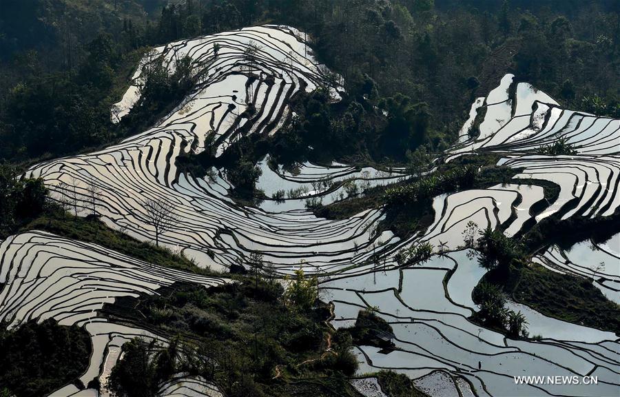 Paysage culturel des rizières en terrasse des Hani de Honghe 