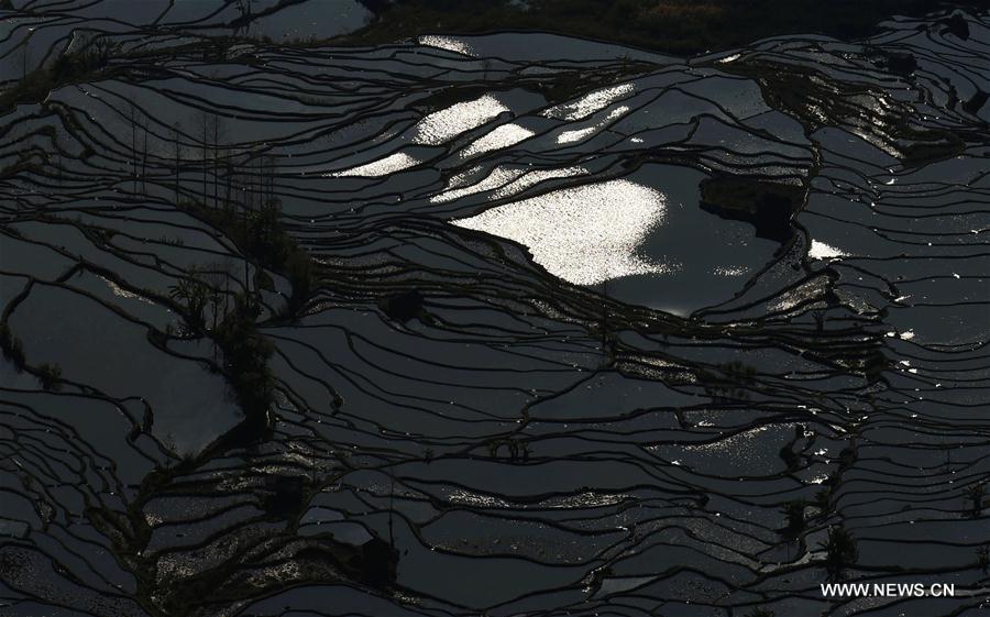 Paysage culturel des rizières en terrasse des Hani de Honghe 