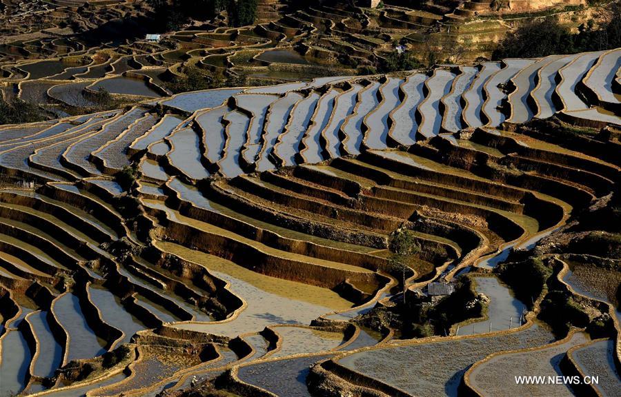 Paysage culturel des rizières en terrasse des Hani de Honghe 