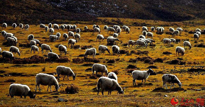 Les étonnants paysages du Chuanxi, l'Ouest du Sichua