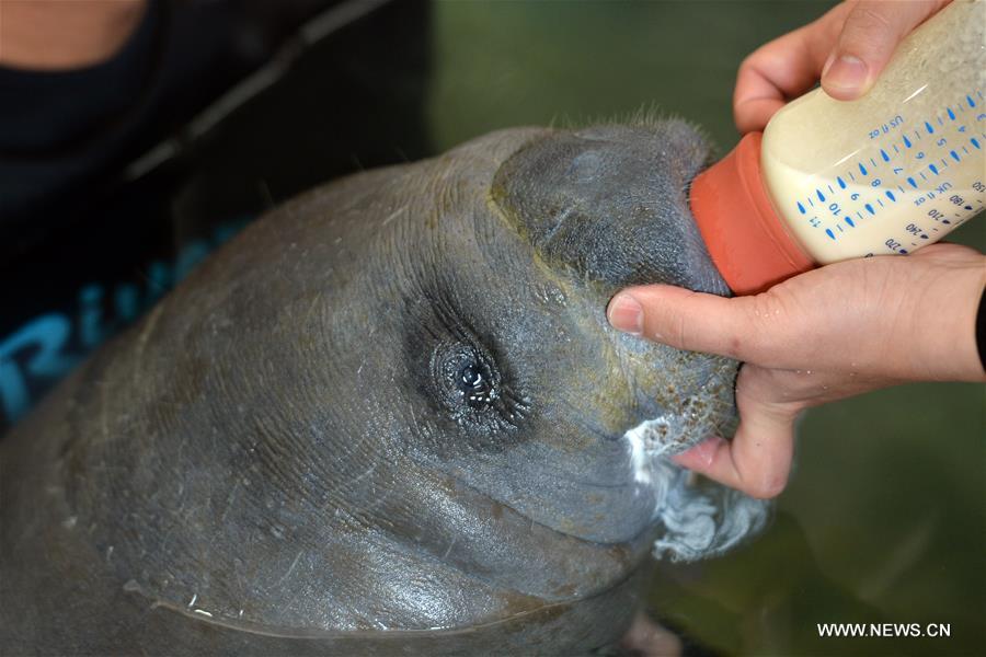 Ces bébés animaux qui vous feront craquer