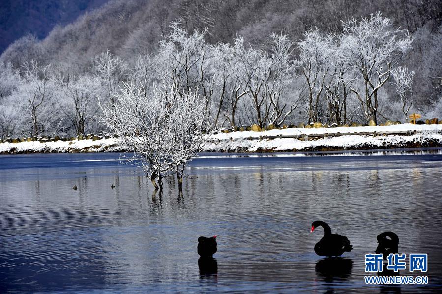 Galerie : les paysages hivernaux des zones humides de Dajiuhu