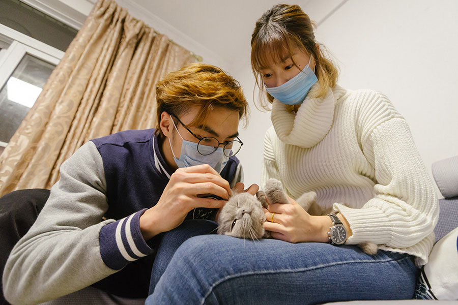 Une passionnée de chats dans le Guandong