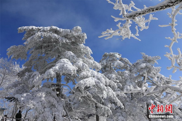 Galerie : les monts Huang sous un manteau blanc