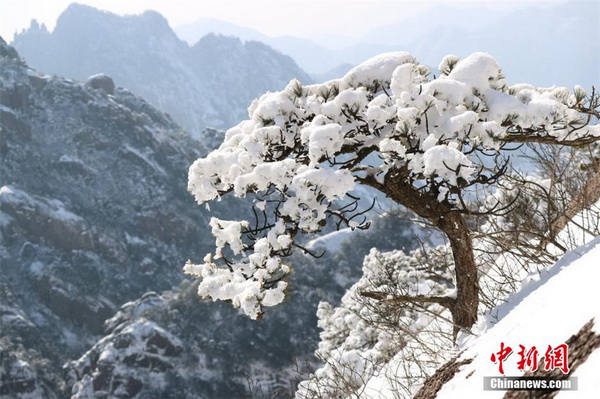 Galerie : les monts Huang sous un manteau blanc