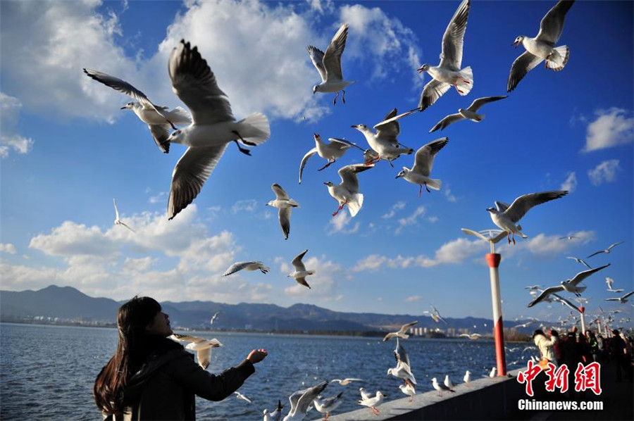 Kunming : après la vague de froid, le soleil revient