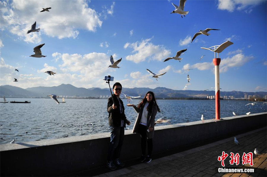 Kunming : après la vague de froid, le soleil revient