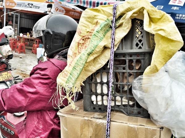 Un retour à moto pour la Fête du Printemps 