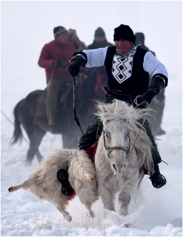 Bataille pour un mouton sous la neige dans le Xinjiang