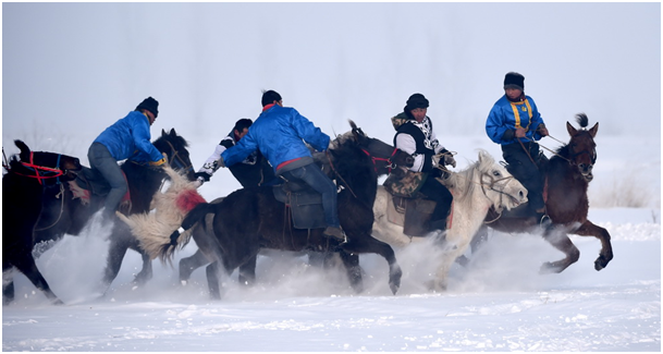 Bataille pour un mouton sous la neige dans le Xinjiang