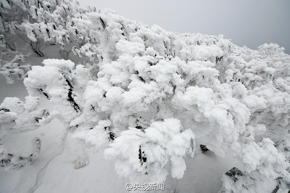 L'enivrant ? monde de cristal ? des Monts Cangshan sous la neige à Dali