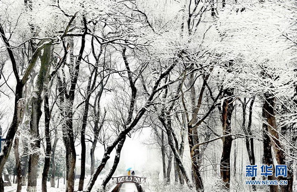 Anhui : le site du lac de Wanfo sous la neige