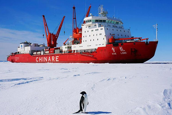 Un escadron aérien dans l'Antarctique