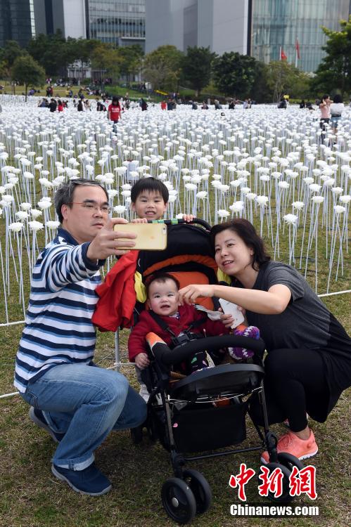 Saint-Valentin: des roses blanches pour illuminer Hongkong