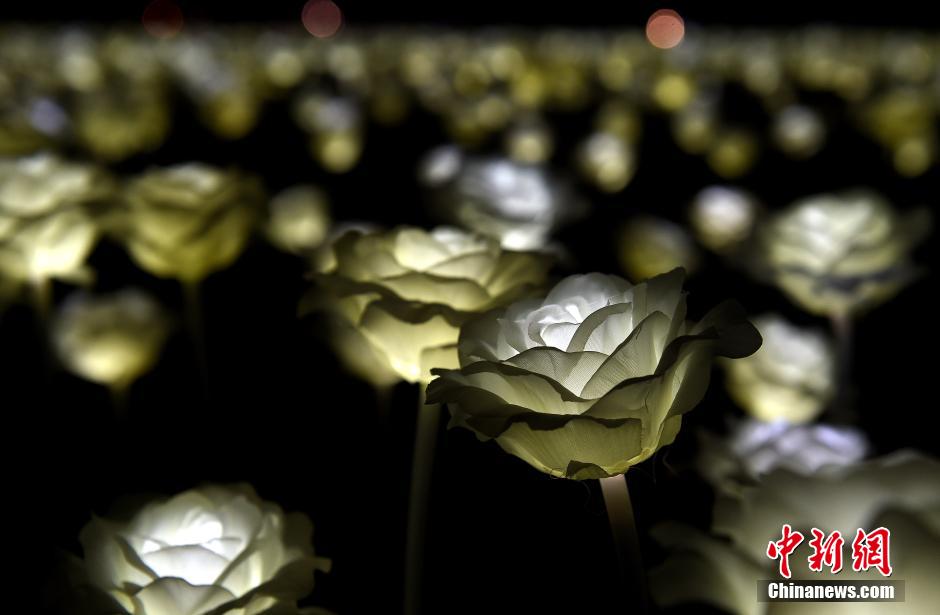 Saint-Valentin: des roses blanches pour illuminer Hongkong