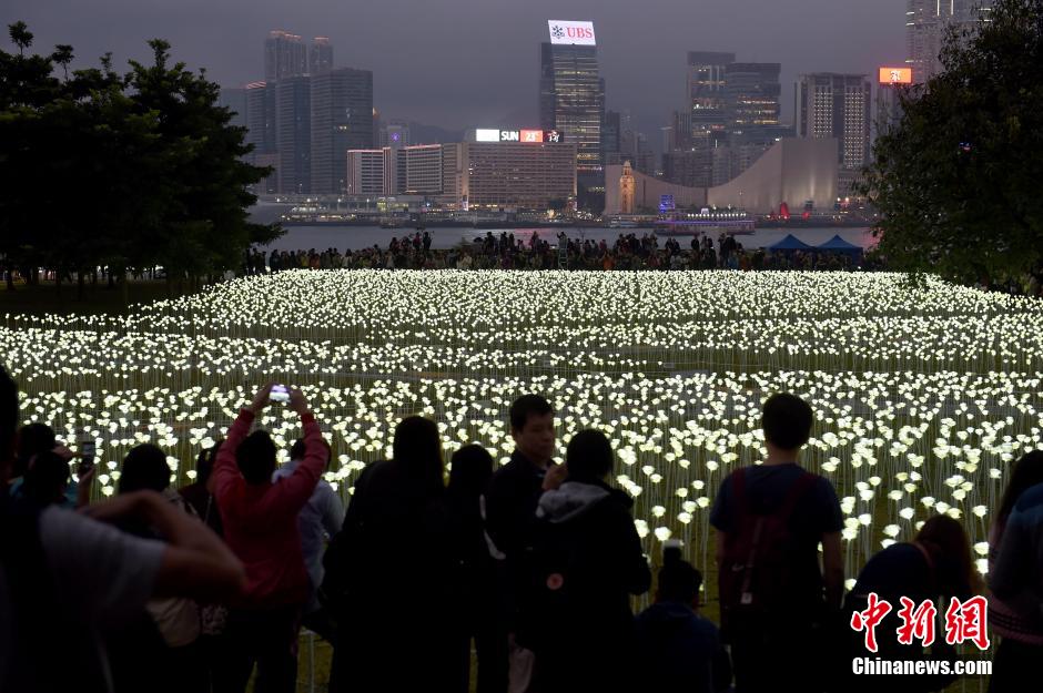 Saint-Valentin: des roses blanches pour illuminer Hongkong