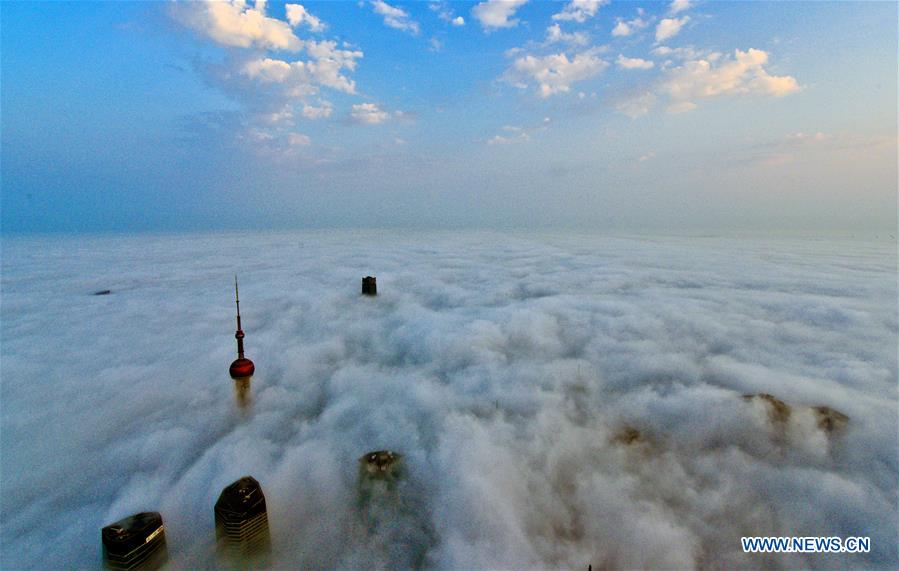 Shanghai : les gratte-ciel emblématiques au-dessus des nuages