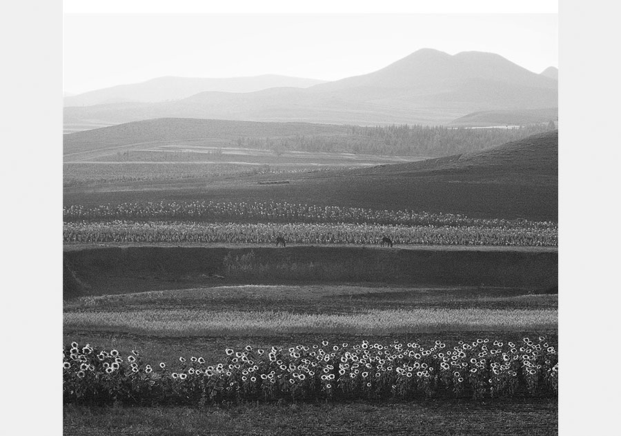 Les plus beaux paysages de Chine en noir et blanc