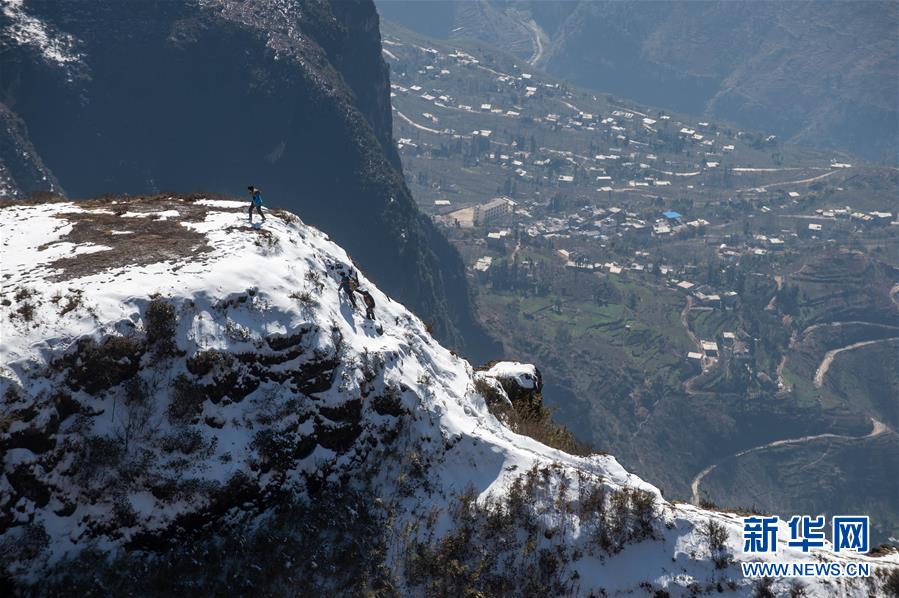 Yunnan: la réserve naturelle nationale des grues à cou noir de Dashanbao