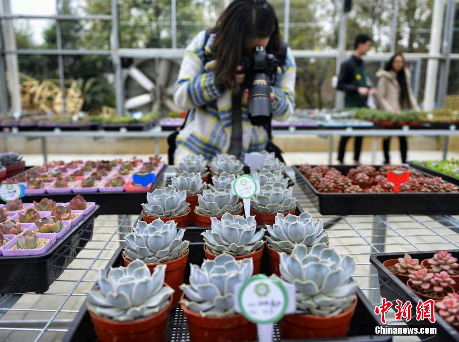 Exposition botanique sur l'?le de Hainan