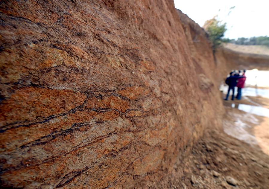 Des digues millénaires dans le Zhejiang