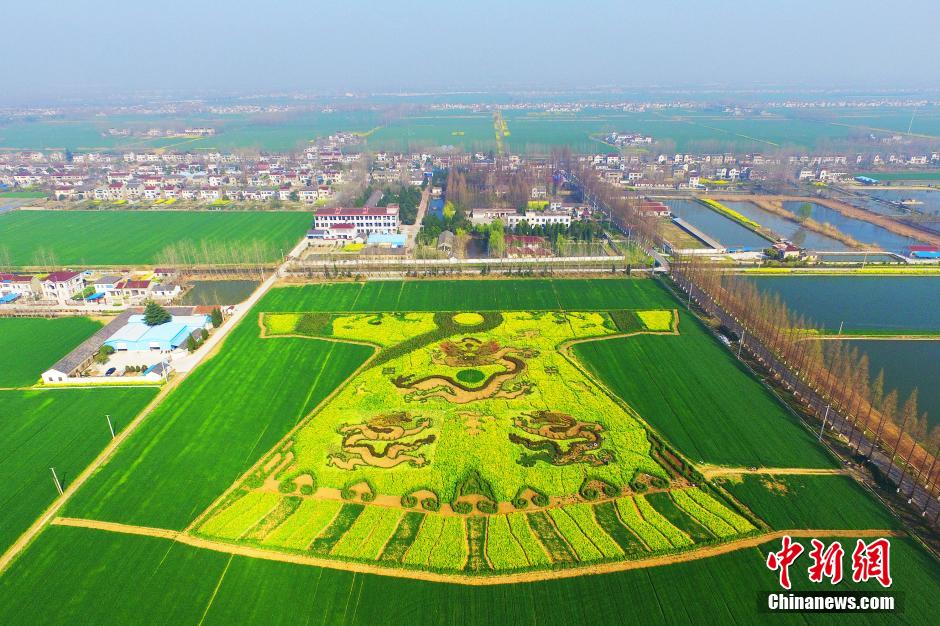 Une robe impériale dans un champs de fleurs de colza