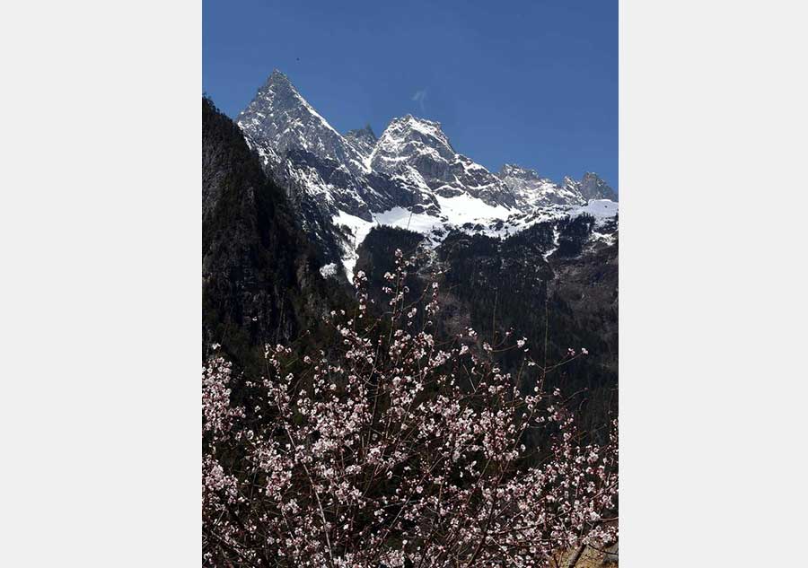 Magnifique début printanier depuis le mont Diqing