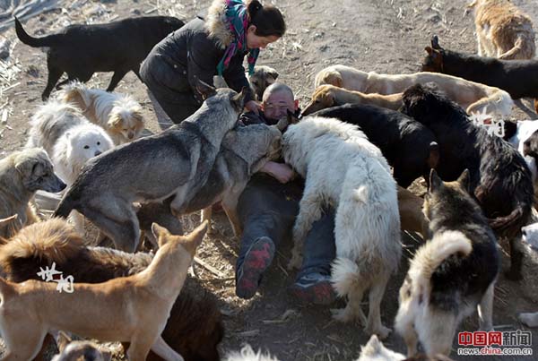 L’histoire de Wang Yan et son amour pour les chiens