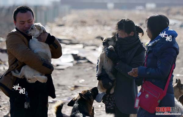 L’histoire de Wang Yan et son amour pour les chiens