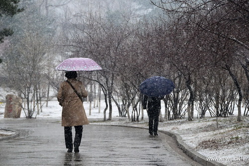 Neige printanière dans le nord-est de la Chine