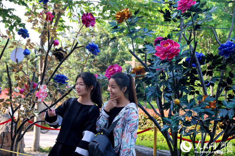 L’élégance de pivoines en métal 