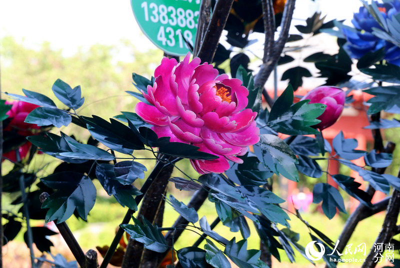 L’élégance de pivoines en métal 