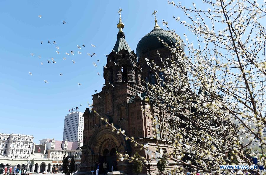 Chine : cathédrale Sainte-Sophie à Harbin