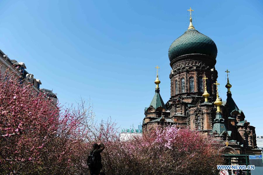 Chine : cathédrale Sainte-Sophie à Harbin