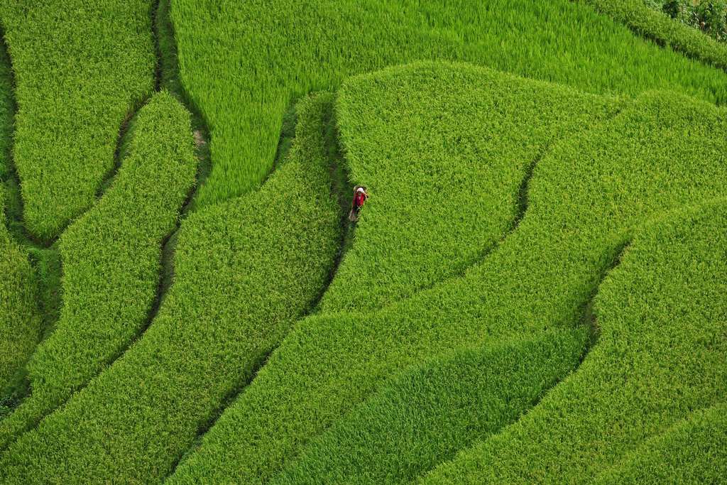 Un festival de la photographie à 2000 mètres d’altitude 