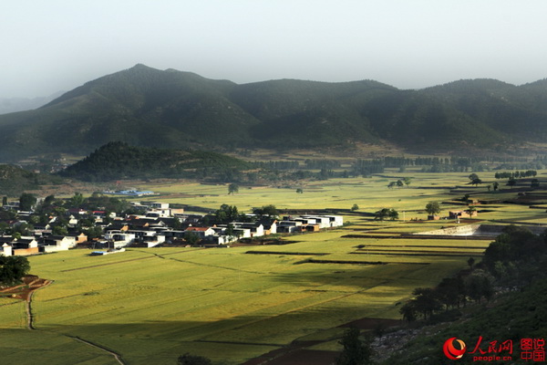 Le Henan et ses paysages de champs dorés 