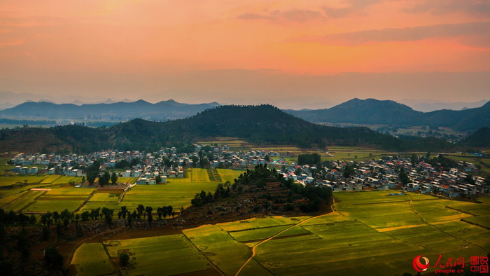 Le Henan et ses paysages de champs dorés 