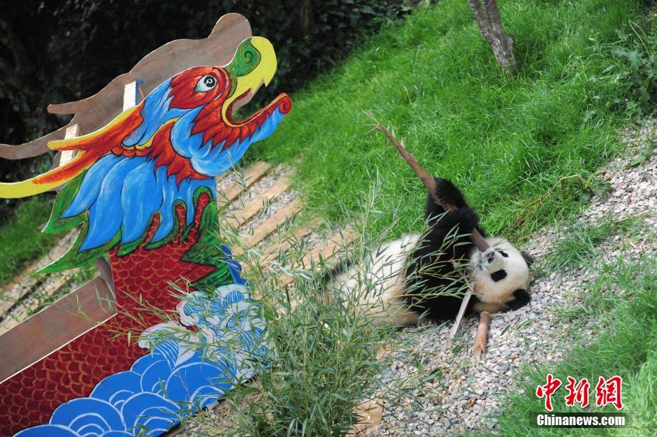 Traitement de faveur pour les pandas du Parc de Kunming pour le Festival Duanwu