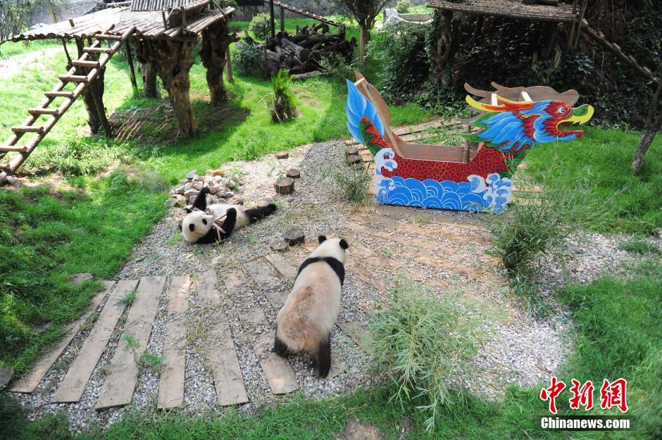 Traitement de faveur pour les pandas du Parc de Kunming pour le Festival Duanwu