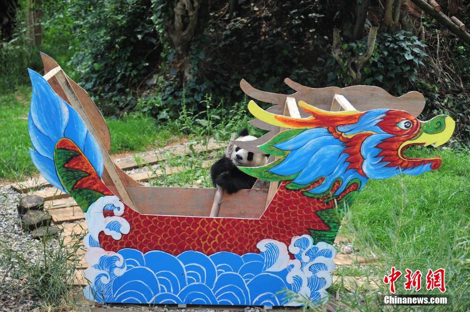 Traitement de faveur pour les pandas du Parc de Kunming pour le Festival Duanwu