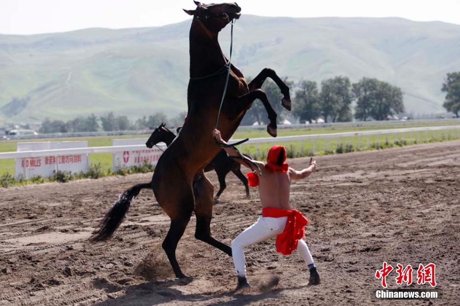 Des chevaux Akhal-Teke au Grand prix national du Xinjiang 