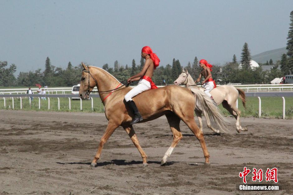 Des chevaux Akhal-Teke au Grand prix national du Xinjiang 