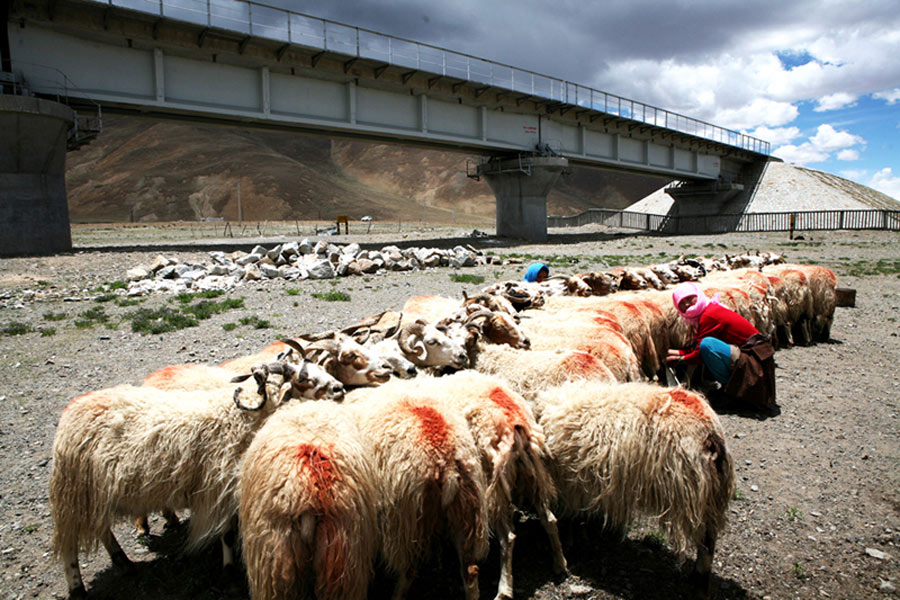 Dixième anniversaire de la voie ferrée Qinghai-Tibet